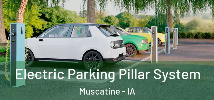 Electric Parking Pillar System Muscatine - IA