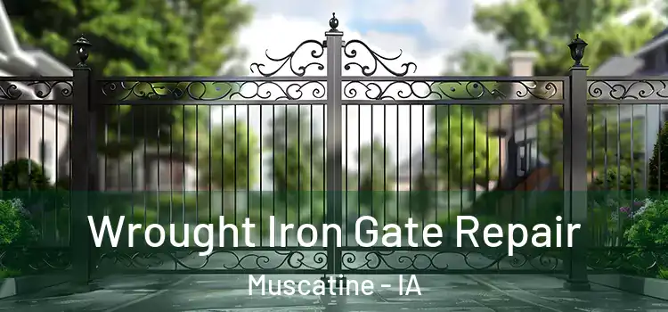 Wrought Iron Gate Repair Muscatine - IA